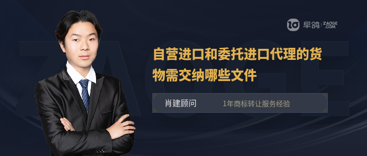 自營進口與委托進口代理貨物所需文件詳解